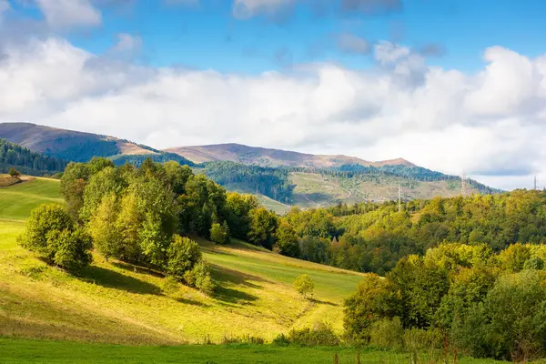 Tepenin tepesindeki ağaçların benekli ışıklarıyla manzarası. Sonbahar mevsiminde ormanlı dağ manzarası. Bulutlu gökyüzünün altındaki görkemli borzhava sırtı