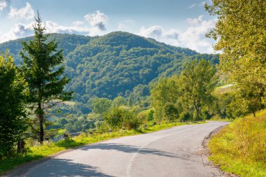 Güneşli bir akşamda dağ geçidi. Tepeden aşağı inen yol. Yol kenarındaki ağaçlar. Ormanlı tepe