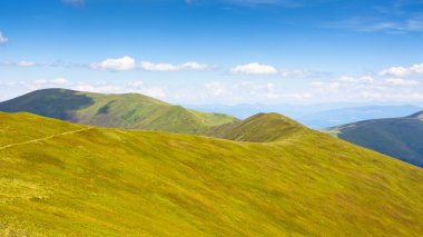 Yazın yeşil çayırları olan dağ manzarası. Ukrayna 'nın otlak dağlarında tatil sezonu. Mavi gökyüzünde yumuşak bulutlarla güneşli bir öğleden sonra