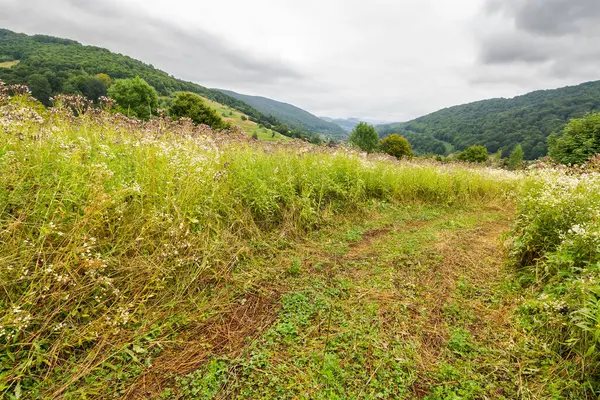 bulutlu bir günde dağlık bir kırsal bölge. Çimenli dağlık yamaç. Ormanın yakınındaki tepede kırsal saman tarlası olan manzara. Uzak vadideki köy