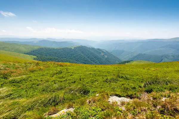 Gökyüzünde bulutlar olan dağdaki yeşil çayır. Tatil sezonu. Yazın Ukrayna Karpatlarının doğa manzarası. Transcarpathia 'nın harika seyahat manzarası. Ufukta yuvarlanan tepelerin manzarası