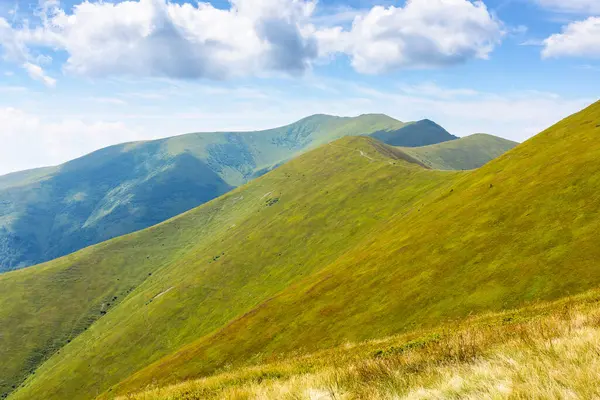 Yazın yeşil çayırları olan dağ manzarası. Borzhava Tepesi 'nin dağlık manzarasında barışçıl maceralar. Stij 'in uzaktan manzarası. Mavi gökyüzünde yumuşak bulutlarla güneşli bir öğleden sonra