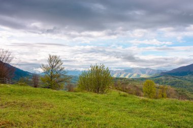 harika kırsal dağ manzarası baharı. Yamaçtaki yeşil çimlerin manzarası. synevyr doğal parkında macera