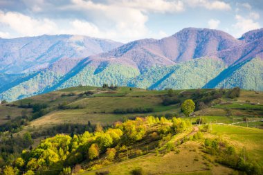 İlkbaharda kırsal alan. Akşam vakti çimenli tepeleri olan ormanlık Karpat dağları. Transcarpathia bölgesinin dışındaki köy. Bulutlu mavi gökyüzü