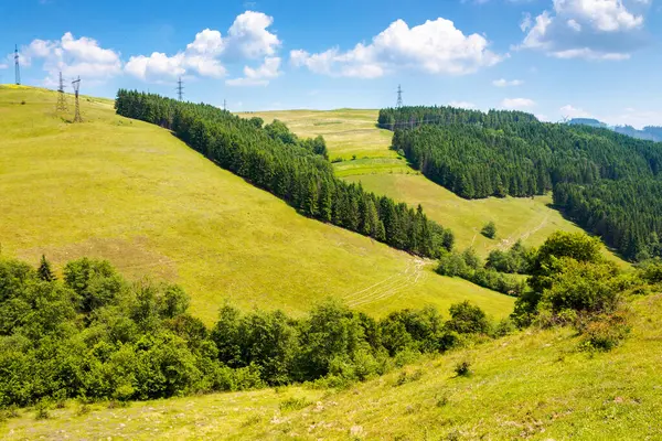 Yazın tepenin üzerinde ormanla birlikte sakin bir kırsal alan. Mavi gökyüzünün altındaki dağda seyahat için ağaç olan yeşil bir çevre. yuvarlanan dağlık