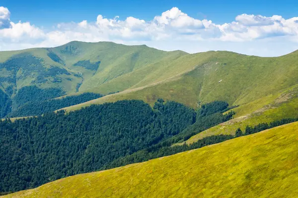 Yazın Borzhava Tepesi 'nin yeşil yamaçları. Güneşli bir günde Karpat Dağlarının manzarası