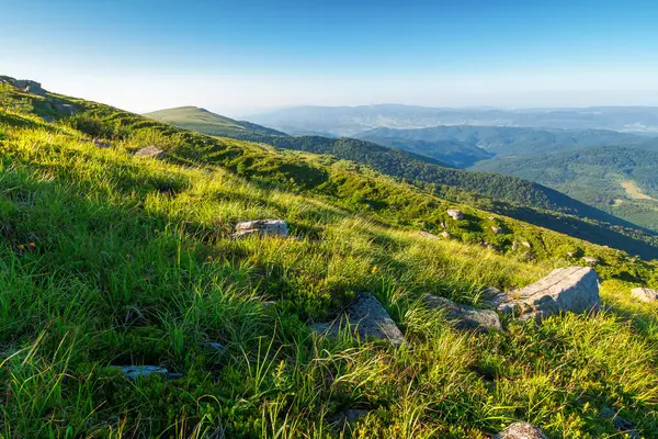 Yazın dağlık manzaranın manzarası. Tepede çimenler ve bulutlu mavi gökyüzü olan açık hava arka planı. Harika Karpat Alpleri 'nde yürüyüş yapmak. Çimenli dağın tepesinden görkemli manzara