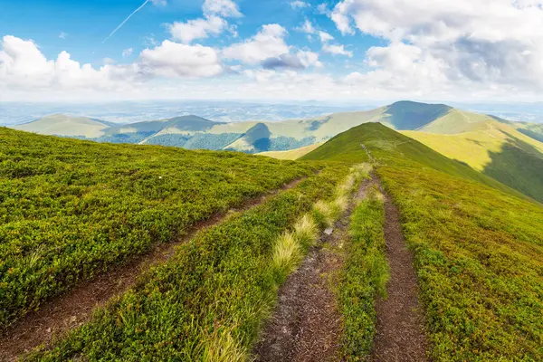 Yazın Carpathian sıradağları boyunca yol. Güneşli bir günde benekli ışıkta patikalı ve dik çimenli yamaçlı alp manzarası. Mavi gökyüzünde ufukta kabarık bulutlar