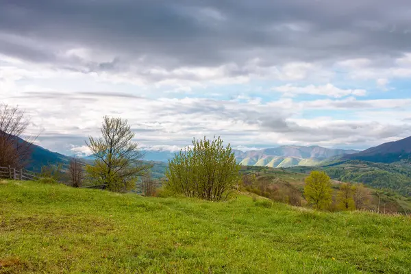 harika kırsal dağ manzarası baharı. Yamaçtaki yeşil çimlerin manzarası. synevyr doğal parkında macera