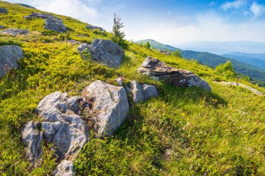 Yazın mavi gökyüzü olan dağ manzarası. Yolculuk için tepenin ardında doğa var. Alp turizmi ve yürüyüş için güzel bir manzara. Sabah ışığında tatil ve açık hava macerası için harika bir manzara.