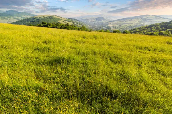Yazın Ukrayna 'nın dağlık kırsalında. Sabah ışığında tepede geniş çimenli otlaklar. Parlak güneşli bir havada Transcarpathia manzarası