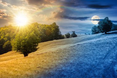 Çimenli tepedeki kayın ormanı. Gündüz ve gece zaman kavramını değiştirir. Ağaçların yemyeşil olduğu alp manzarası. Gökyüzünün altındaki ilkel orman, alacakaranlıkta güneş ve ay.