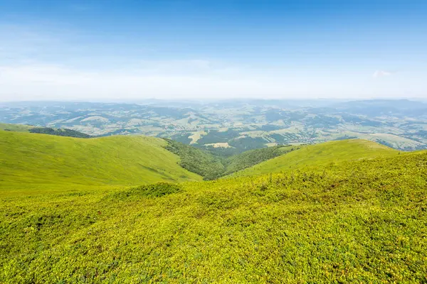 Çayırlı dağ manzarası. Vadinin manzaralı kırsalında. Yazın Alpine Hill 'den güzel bir manzara. geniş açık manzaralı yuvarlak manzara