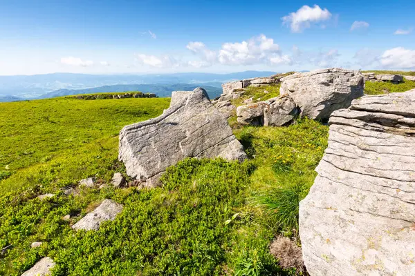 Yeşil tepeli alp manzarası. Ukrayna 'nın dağları. Yazın Karpatlar 'ın dağ manzarası. Yamaçtaki çimlerin arasındaki kayalar. Manzaralı. Mavi gökyüzü, tepenin üstünde bulutlar