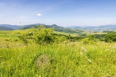 Çayır ve orman tepeleri olan kırsal alanlar. Vadideki köy. Alp kırsalında yaz mevsiminde, uzaktaki dağ sıraları ile birlikte. Gökyüzünde kabarık bulutlarla güneşli öğleden sonra