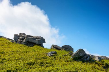Yazın bulutlu mavi gökyüzünün altındaki tepede bir kaya parçası. Çimlerin arasında büyük bir kumtaşı. Güneşli bir günde Transcarpathia 'da dik yamaç düzgündür.