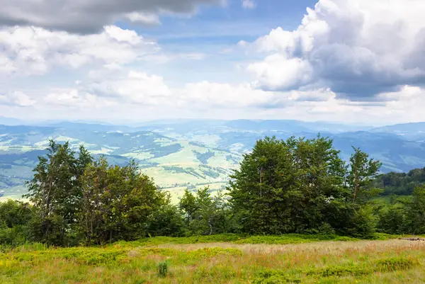Yeşil yamaçtaki yaprak döken ağaçlar. Karpat dağlarının ormanlık tepeleriyle yüksek irtifa manzarası. Bulutlu bir günde Borzhava sırtından manzara. Transcarpathia yaz aylarında seyahat eder