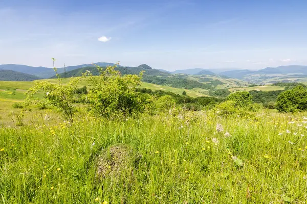 Çayır ve orman tepeleri olan kırsal alanlar. Vadideki köy. Alp kırsalında yaz mevsiminde, uzaktaki dağ sıraları ile birlikte. Gökyüzünde kabarık bulutlarla güneşli öğleden sonra