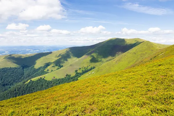 Yeşil dağ manzarası ve yuvarlanan tepeler. Doğa. Güneşli bir günde güzel bir Borzhava bayırı manzarası. Açık hava macerası. çimenli alp çayırı