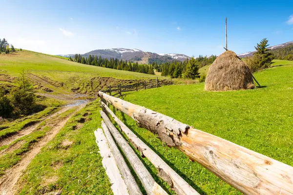 İlkbaharda Ukrayna 'nın dağlık kırsal manzarası. organik otlak. Güneşli bir sabahta kırsal bir manzara. Tepedeki kozalaklı orman. Saman yığını ve ahşap çit mavi gökyüzünün altındaki yeşil çimenlik çayırda