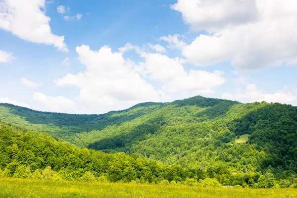 Ukrayna dağlarındaki kırsal alan. Güzel manzara. Ormanın yakınındaki tepedeki kırsal alanda. Yazın gökyüzünde bulutlarla güneşli bir gün. çimenli çayır