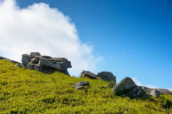Yazın bulutlu mavi gökyüzünün altındaki tepede bir kaya parçası. Çimlerin arasında büyük bir kumtaşı. Güneşli bir günde Transcarpathia 'da dik yamaç düzgündür.