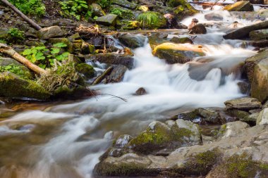 Shypit deresinin su akışı. Noktalı ışıkta yaz manzarası. Serinletici dış arkaplan görüntüsü