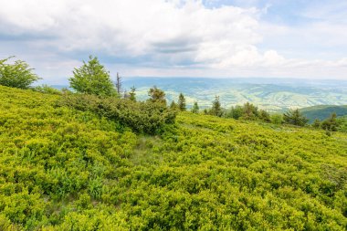 Yazın Karpatlar 'ın dağ manzarası. Uzaktaki vadiye bak. Ufukta bulutlu bir gökyüzü var. Tepedeki alp çayırı.