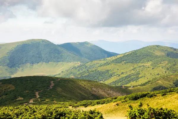 Yazın Karpatlar 'ın dağ manzarası. Açık hava macerası. Doğal ortam. Yuvarlanan tepeleri olan güzel bir manzara. Kornohora sırtı alp manzarası. tatil ve yürüyüş geçmişi