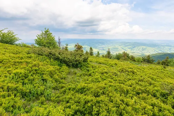 Yazın Karpatlar 'ın dağ manzarası. Uzaktaki vadiye bak. Ufukta bulutlu bir gökyüzü var. Tepedeki alp çayırı.