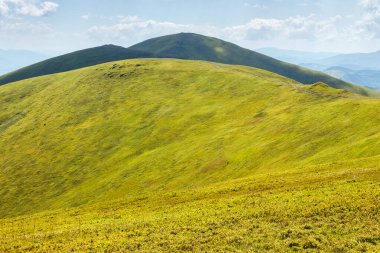 Yazın Borzhava Tepesi 'nin yeşil yamaçları. Güneşli bir günde Karpat Dağlarının manzarası