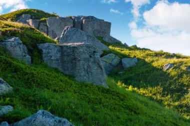 Çimenli yamaçtaki kaya yığını. Transcarpatia 'daki dağdaki alp manzarası. Bulutlu mavi gökyüzü