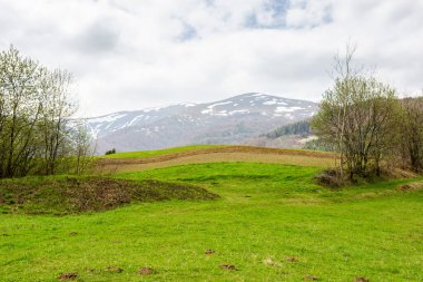 Baharda kırsal dağ manzarası. Çimen tarlası olan uzak bir yer. Hava bulutlu. Tepedeki tarla ve orman. Podobovets Vadisi kırsal manzarası
