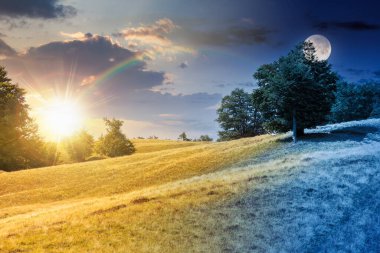 Çimenli tepedeki kayın ormanı. Gündüz ve gece zaman kavramını değiştirir. Ağaçların yemyeşil olduğu alp manzarası. Gökyüzünün altındaki ilkel orman, alacakaranlıkta güneş ve ay.