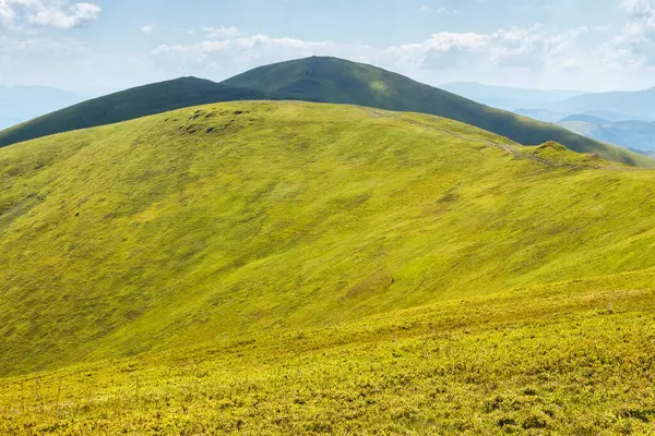 Yazın Borzhava Tepesi 'nin yeşil yamaçları. Güneşli bir günde Karpat Dağlarının manzarası