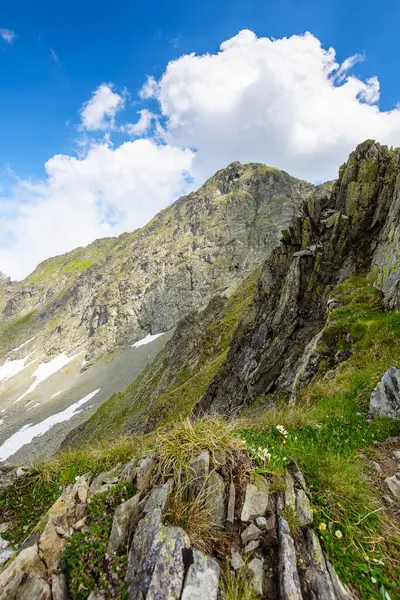 İbnelerin yaz mevsiminde dağ yamacının dik yamaçları. Yürüyüş için son derece geniş bir arazisi var. Romanya 'nın dikey seyahat geçmişi. Kabarık bulutlu mavi gökyüzü