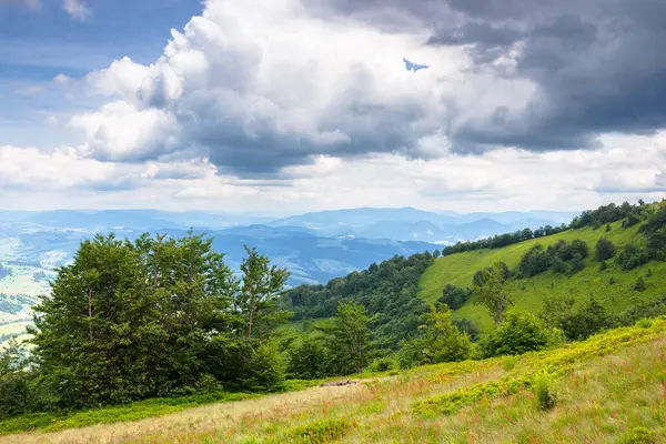 Yeşil yamaçtaki yaprak döken ağaçlar. Ukrayna Alpleri. Karpat Dağları 'nın ormanlı tepelerinin manzarası. Bulutlu bir günde Borzhava sırtından manzara. Transcarpathia yaz aylarında seyahat eder