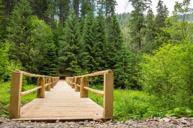 Kozalaklı ormanın derinliklerine uzanan ahşap köprü. Yazın akarsu üzerinde yol. Açık hava macerası. Bulutlu bir günde sinevyr Ulusal Parkı 'nda manzara