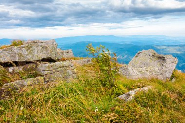 Yazın sonlarında güzel bir dağ manzarası. Transcarpathia, Ukrayna 'da gidilecek yer. Gri bulutlu dramatik bir gökyüzü. Avrupa 'da tatil sezonu bitti