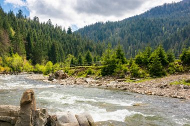 İlkbaharda yeşil vadiden akan nehir. uzak tatil. Tepedeki ladin ormanı. Karpatya dağlarının kırsal kesimindeki resimsel doğa. Mavi gökyüzü altında bulutlarla seyahat etmek için sakin bir gün.