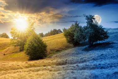 Çimenli tepedeki kayın ormanı. Gündüz ve gece zaman kavramını değiştirir. Ağaçların yemyeşil olduğu alp manzarası. Gökyüzünün altındaki ilkel orman, alacakaranlıkta güneş ve ay.