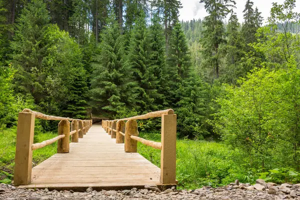 Kozalaklı ormanın derinliklerine uzanan ahşap köprü. Yazın akarsu üzerinde yol. Açık hava macerası. Bulutlu bir günde sinevyr Ulusal Parkı 'nda manzara