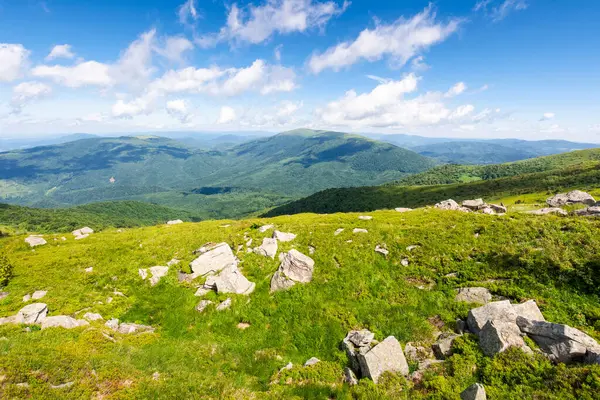Yeşil tepeli alp manzarası. Vadi manzarası. Yazın Karpatlar 'ın dağ manzarası. Yamaçtaki çimlerin arasındaki kayalar. Harika bir seyahat geçmişi var. Mavi gökyüzü, tepenin üstünde bulutlar