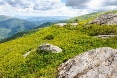 Karpatların benekli ışıktaki güzel manzarası. Avrupa yürüyüşü. Bulutlu bir günde dağlarda harika bir yaz manzarası. Tepenin yamacından manzaralı. Runa olarak bilinen dağ, Ukrayna