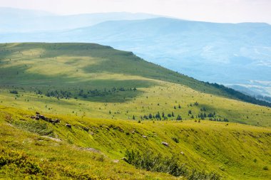 Yazın Karpatlar 'ın dağ manzarası. Yüksek rakımlı açık hava macerası. Ukrayna 'nın yeşil alp çayırları. Yuvarlanan tepelerdeki çimenler. benekli ışıkta manzaralı seyahat arkaplanı