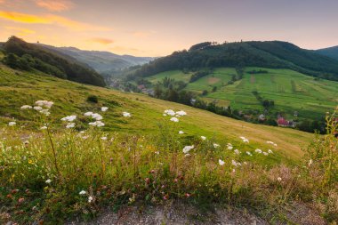 Yazın kırsal alan. Alp otlağı. Şafakta vadideki köy. Kızıl gökyüzünün altındaki tepede orman ve yeşil çayır. Ukrayna dağlarının manzaralı manzarası.