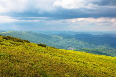 Dağın tepesinden vadiye güzel bir manzara. Ukrayna 'nın dağlık kesimlerinde geniş çayırları olan manzaralı bir yer. Yazın güneşli hava Bulutlu gökyüzü