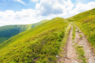 Dik tepeye giden yol. Güzel manzara. Yazın Karpatlar 'ın dağ manzarasıyla seyahat etmek. Güneşli bir günde mavi gökyüzünde bulutlar olan Ukrayna 'nın çimenli dağlık manzarası. hava değişimi