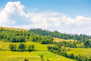 Güneşli bir günde dağlık kırsal alan. Toprak manzarası, yemyeşil ağaçlar, çimenlik alanlar, saman yığını ve bir tepenin yamacında ekilebilir. Gökyüzünde kabarık bulutlar. organik macera yeri; 