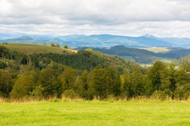 Karpatya dağ manzarası benekli ışıkta. Harika bir hava. Sonbaharın başlarında doğa. Çimenli tepedeki yaprak döken orman. Uzaktaki havza sırtı. Bulutlu gökyüzü. Ukrayna 'ya seyahat.